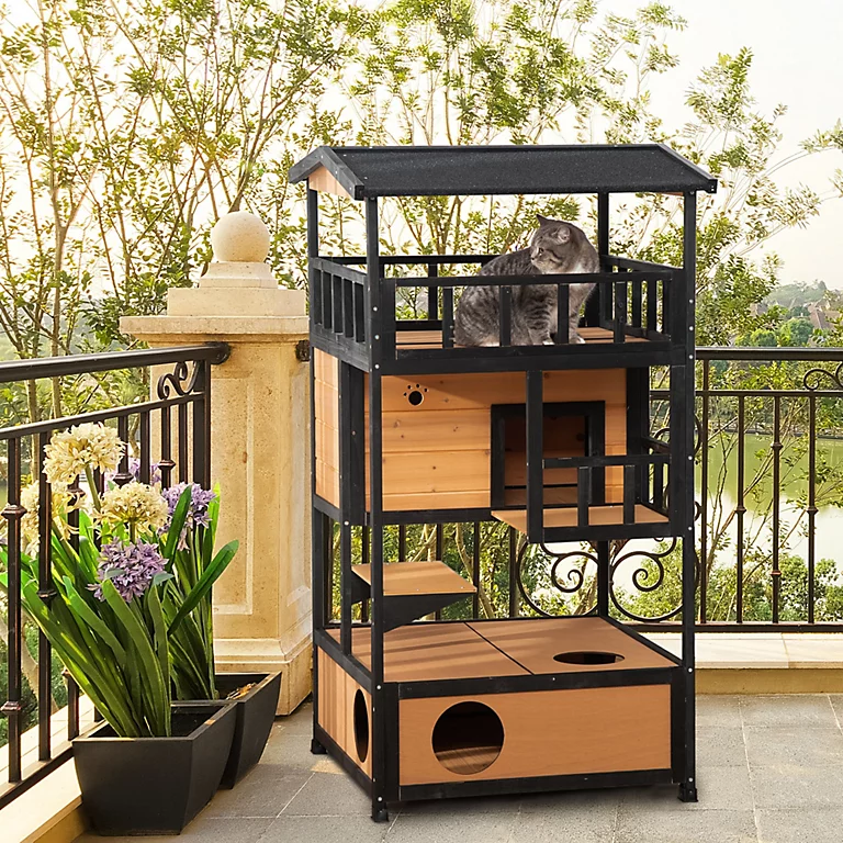 outdoor cat house