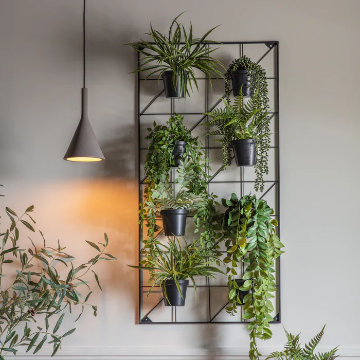 wall planters